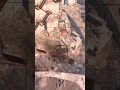 Fallout 4 Commonwealth Ambience | Raider-Controlled Quarry #shorts