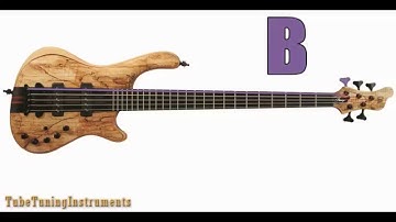TUNING BASS 5 STRINGS - HQ