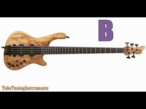 TUNING BASS 5 STRINGS - HQ