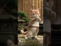 Kung Fu Cat Master 🐱🥋 #shorts