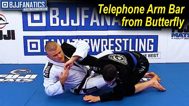 Telephone Arm Bar from Butterfly by Casey Lamb