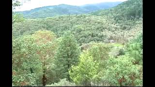 Jackson County Sheriff's Office identifies human remains