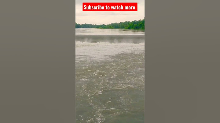 Kodiveri Dam | Flood | #short #shortsyoutube #kodiveridam #