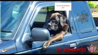 DJ SUNAYCO ft CEZA  BU SEHIR INSANI 20113 Resimi