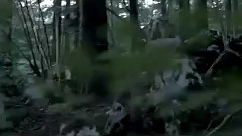 Que desculpa dar para não ir a um encontro?