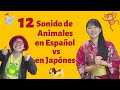 Sonido de Animales en Japonés