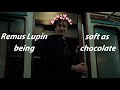Remus Lupin being soft as chocolate