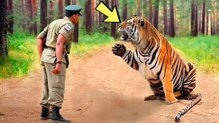 Тигр умоляет солдата о помощи, но причина этого удивила всех