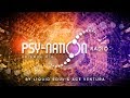 Psy-Nation Radio #010 - incl. Electric Universe Mix [Ace Ventura & Liquid Soul]