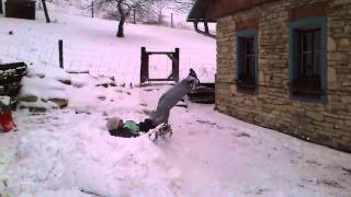 Gainer crash