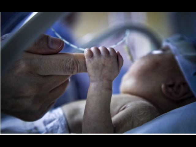 نافذة تفاعلية|| مصر في أرقام .. تقرير الجهاز المركزي للتعبئة العامة والإحصاء