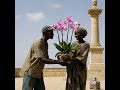 Send Flowers to Senegal