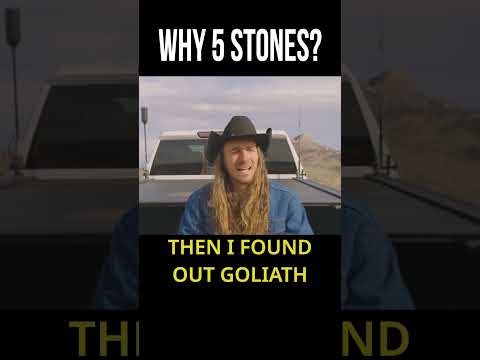 The David & Goliath Twist You Missed