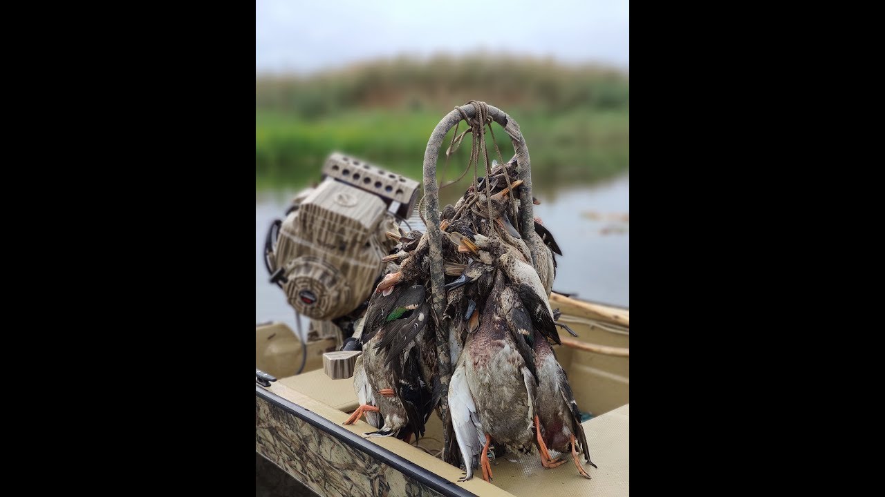 ОТКРЫТИЕ ОХОТЫ НА ВОДОПЛАВАЮЩУЮ 2019 АСТРАХАНЬ.