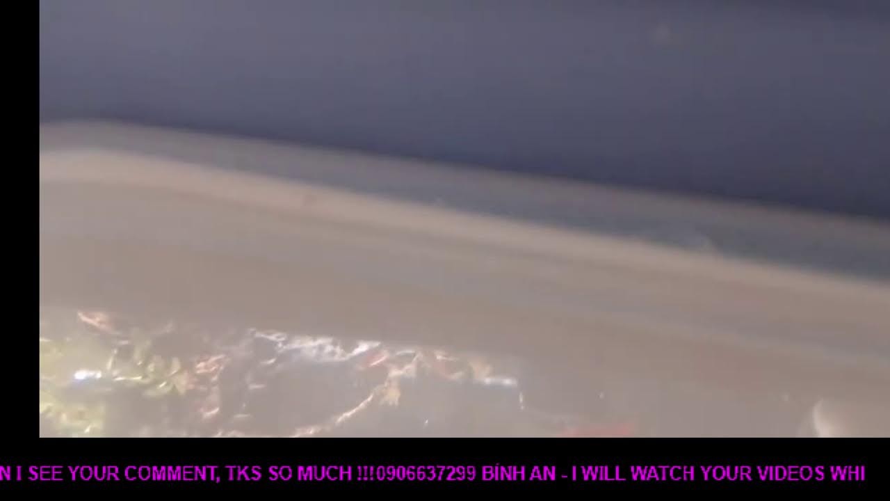 21012026 565 : Unlock 100% Brain Power & Music for Mental Clarity 