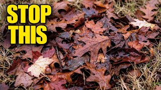 STOP Doing These Winter Lawn Mistakes (They Kill Your Grass Before Spring)
