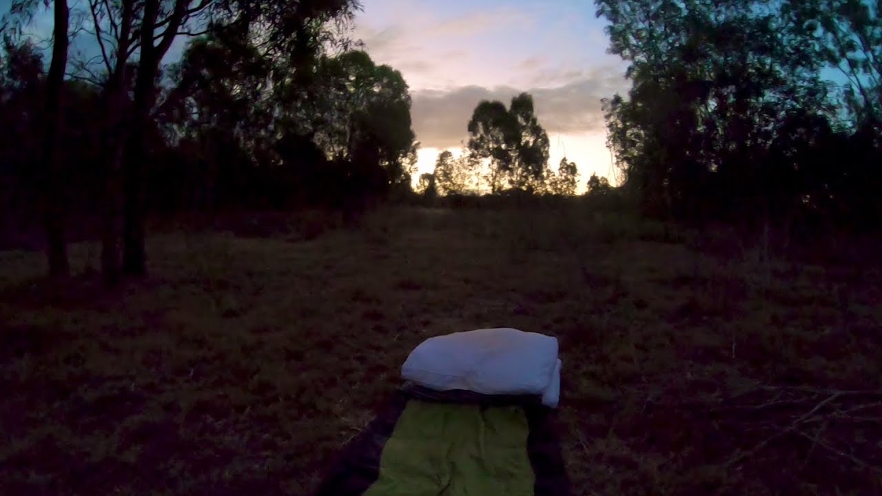 Solo 24 HOUR camp in AUSTRALIAN Bushland! (Fishing, Exploring & More!)