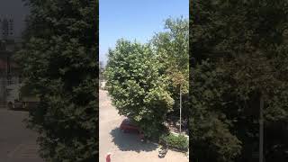 Gacık Köyü saklı cennet #yalova #yalova #gezilecekyerler #gezivideoları