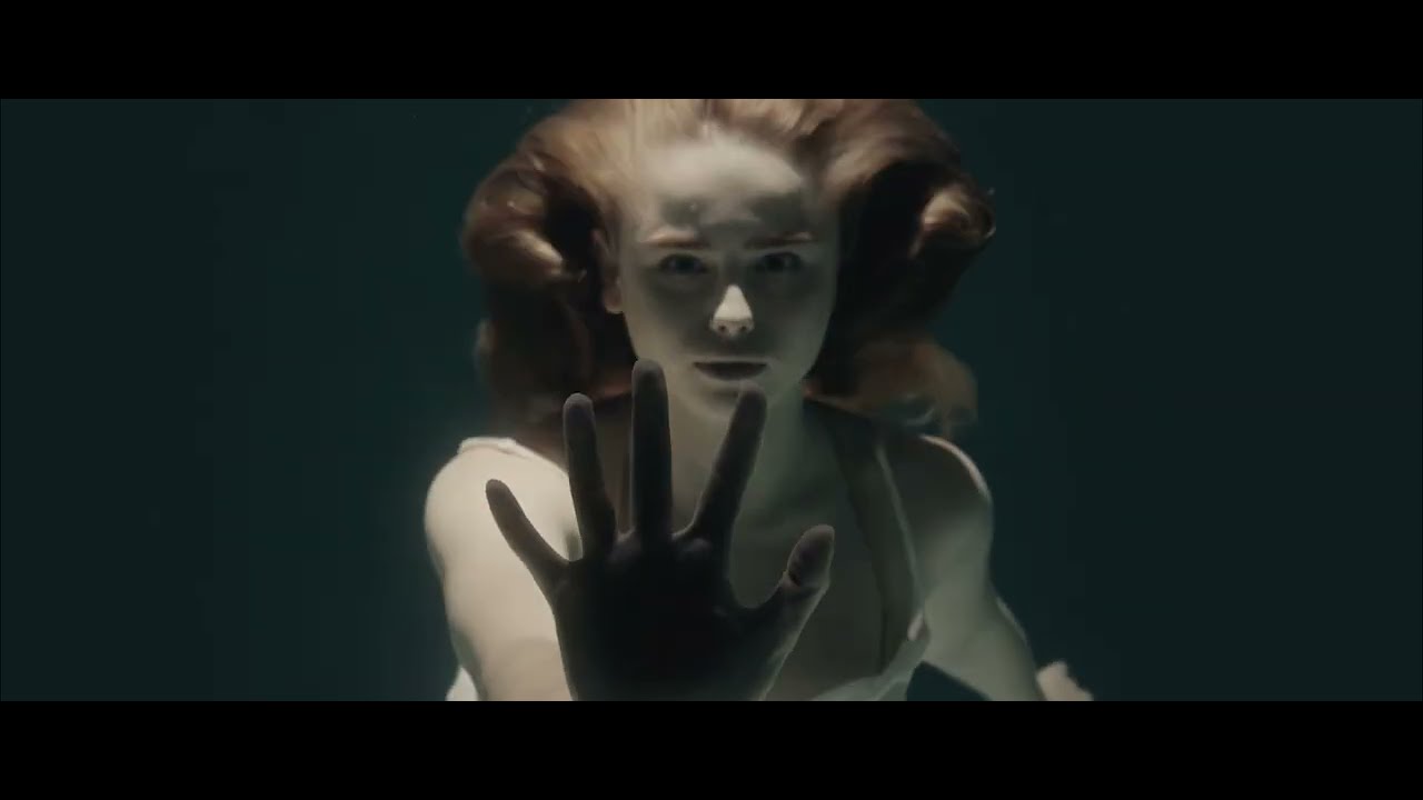 Marcin Scibor - Bass  stories