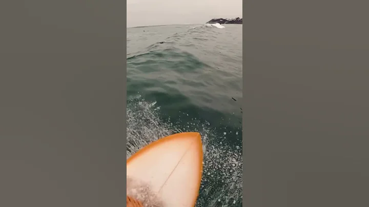 Fun days in San Diego #shorts #surf #surfers #surfing #surfing