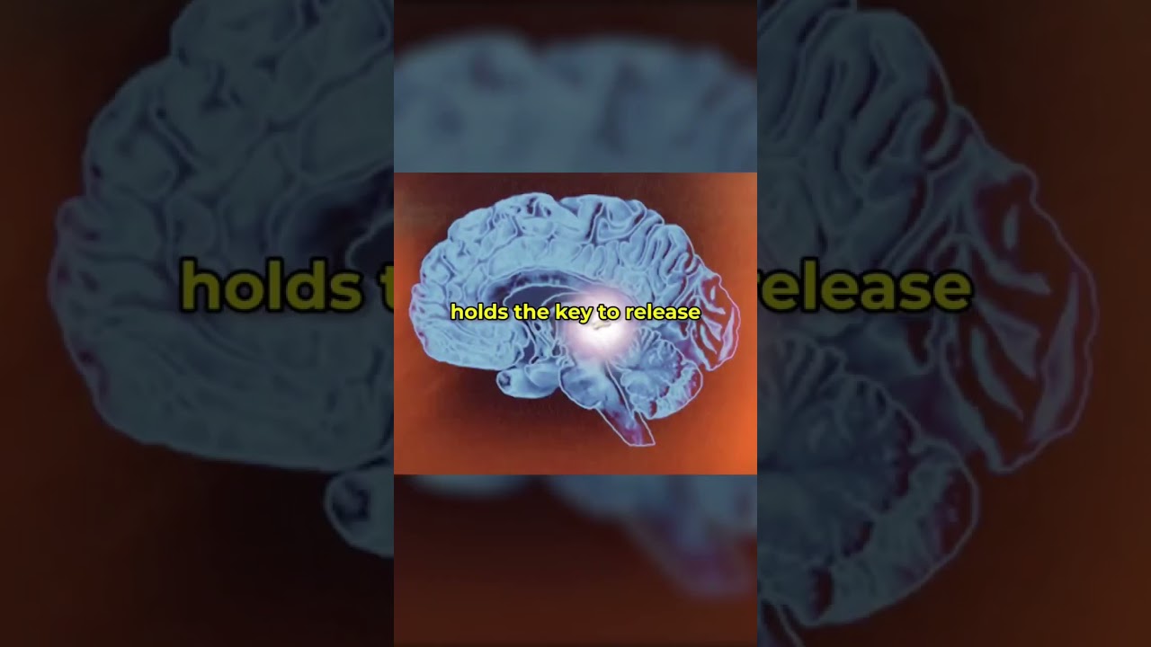 PINEAL GLAND  A pleasure greater than anything you’ve known 🤯 #pinealgland
