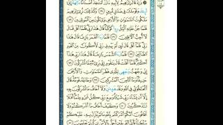 القرآن الكريم صفحة رقم 137 برواية الدوري عن الكسائي  القارئ مفتاح السلطني