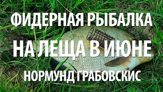 РЫБА ЛЕЩ на ФИДЕР ЛЕТОМ. ФИДЕРНАЯ ЛЕТНЯЯ РЫБАЛКА В ИЮНЕ С НОРМУНДОМ ГРАБОВСКИСОМ РЫБА ЛЕЩ на ФИДЕР ЛЕТОМ. ФИДЕРНАЯ ЛЕТНЯЯ РЫБАЛКА В ИЮНЕ С НОРМУНДОМ ГРАБОВСКИСОМ