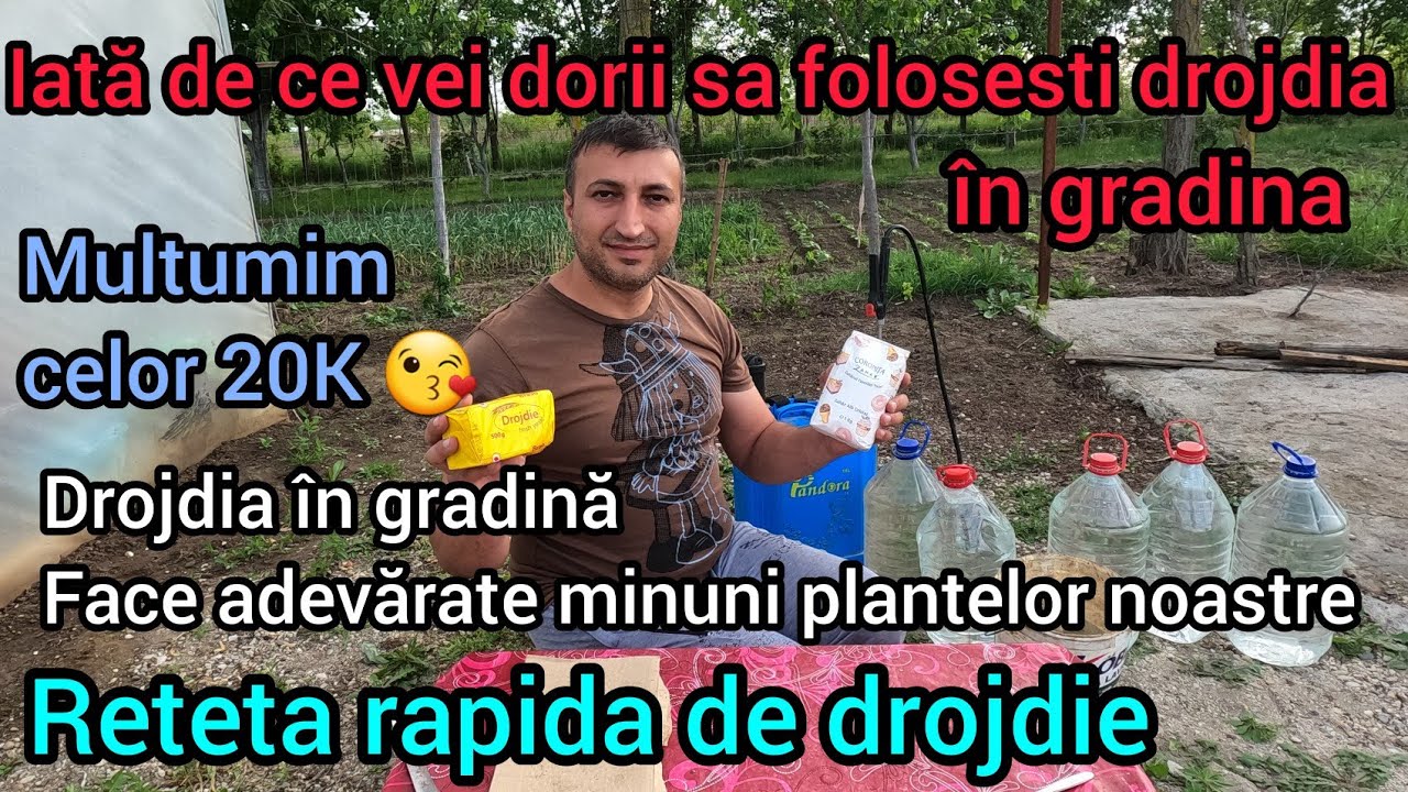 Ingrasamant natural pentru legume usor de facut acasa din drojdia pentru plante