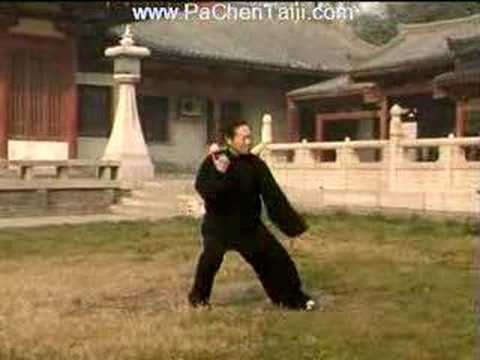 Chen Xiaojia Taijiquan Yi-lu w/Chen Yong-Fu