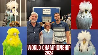 Budgerigar Society World Championship Show 2023 by Budgerigar 6,884 views 7 months ago 19 minutes