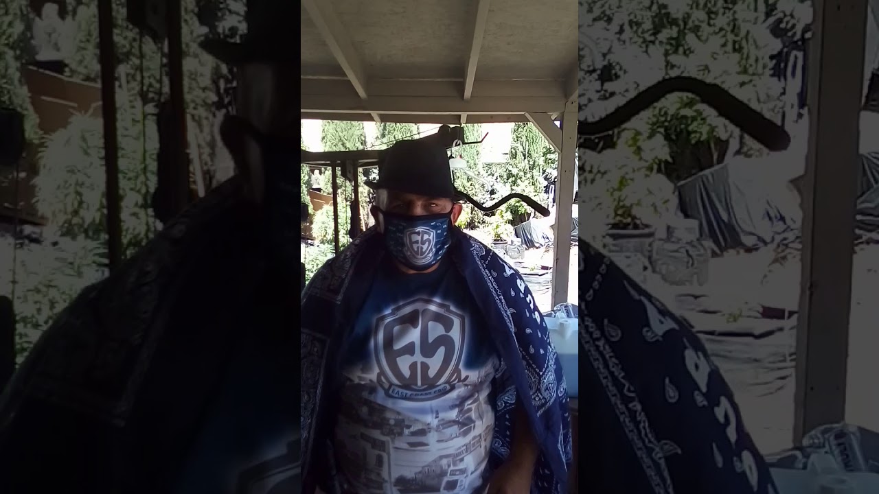 CRIP CLOTHING!! I SUPPORT THE HOMIES !!! YouTube