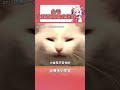 金毛:你个草地上放羊的,敢在我面前耀武扬威? #金毛 #万万没想到 #狗狗