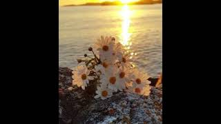 Yaman Karaca Bi̇rgün Ben Ölürsem