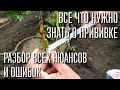 ПРИВИВКА ВИНОГРАДА ОТ А ДО Я! ЛУЧШАЯ ПРИЖИВАЕМОСТЬ. ОЧЕНЬ ПРОСТОЙ СПОСОБ. СМОЖЕТ КАЖДЫЙ!