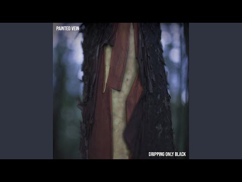 Painted Vein — I Never Looked In My Eyes