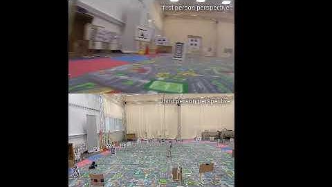 Agile reactive navigation for a non-holonomic mobile robot using a pixel processor array