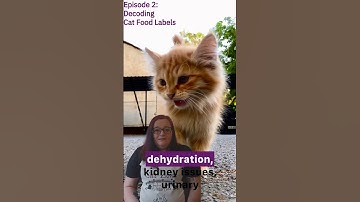 The Science of Cats: episode 2 - How to Read a Cat Food Label #cat #cathealth