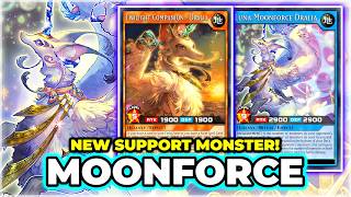 THE DECK SAVIOR?! NEW MoonForce Deck Testing! - Yu-Gi-Oh Rush Duel - EDOPRO