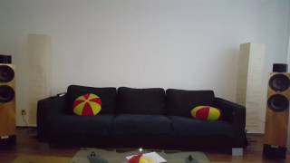 WLM Lyra Speakers &amp; Goldnote AP-7 mk2 amplifier nr.4