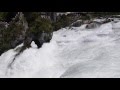 La Gaviota Viajera #8: Las Cataratas de Rin (Suiza)