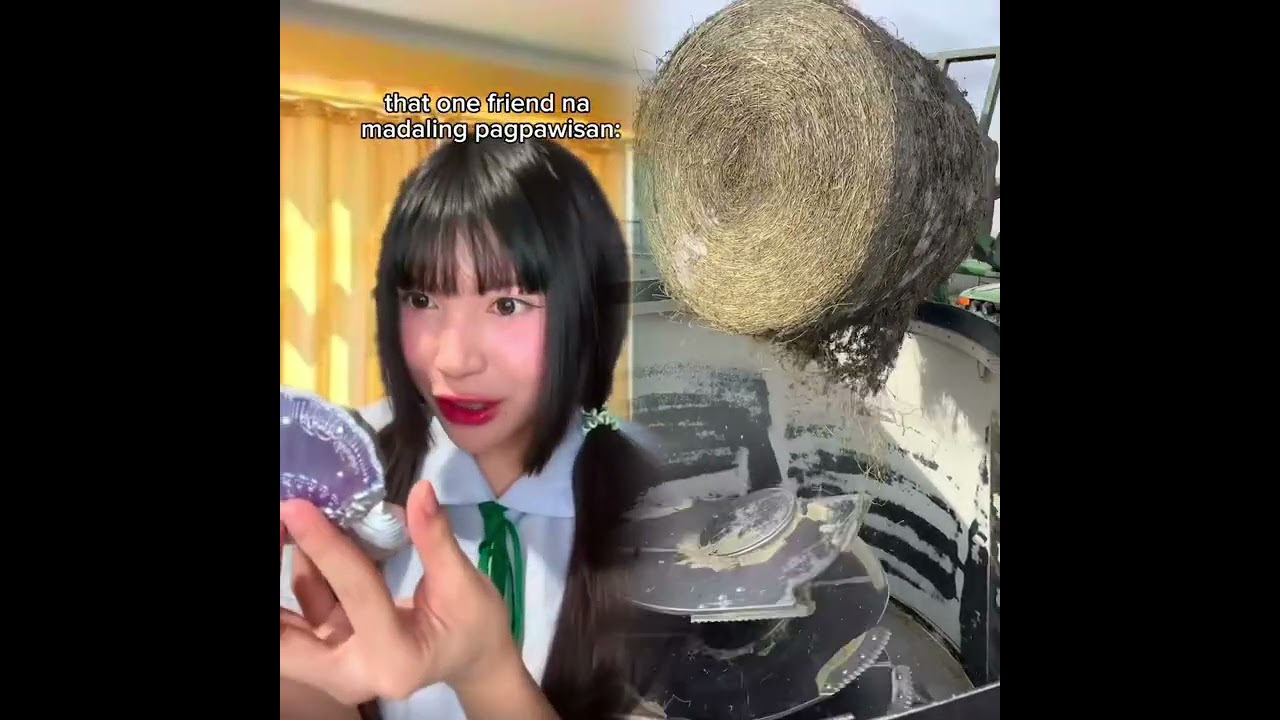 10 minutes Relaxing and Fun Short Videos 