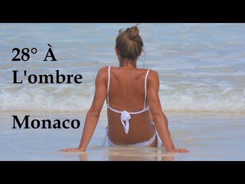 28 à L Ombre Jean François Maurice Paroles 