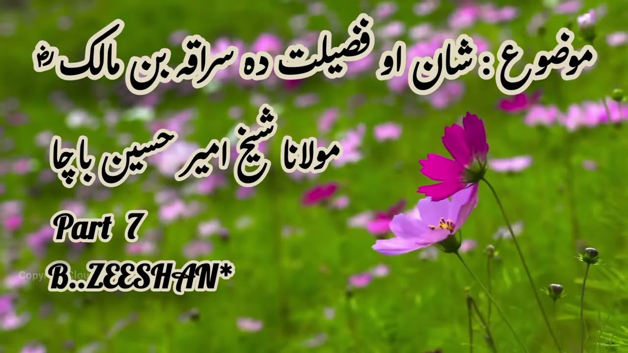 Shan aw Fazilat da Suraqa Bin Malik (R.A) Da Mulana Shekhul Quran Ameer Hussain Bacha Bayan.