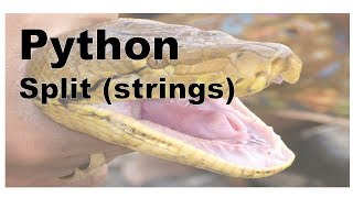 646-Python - String Split Method