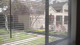 Functional! Spacious 668 Square Feet with open area floor plan! Go shopping for a new outfit to put in your large closets. Enjoy this 