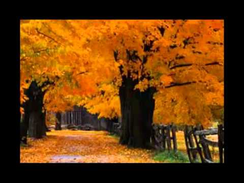 უწესივრობა რომლის დროსაც არკძალულია მოძრაობა  N 4