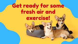 Get ready for some fresh air and exercise!