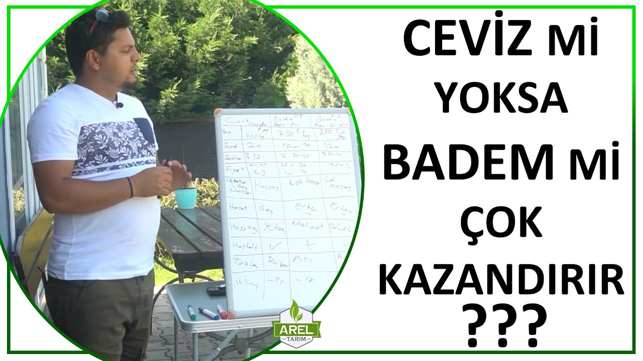 CEVİZ Mİ ÇOK KAZANDIRIR, YOKSA BADEM Mİ ?