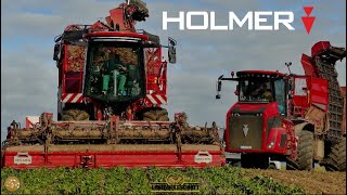 Rübenernte Holmer Maschinen in der Rübenkampagne HIGHLIGHT NEW Holmer Terra Dos 5 Zuckerrüben Ernte