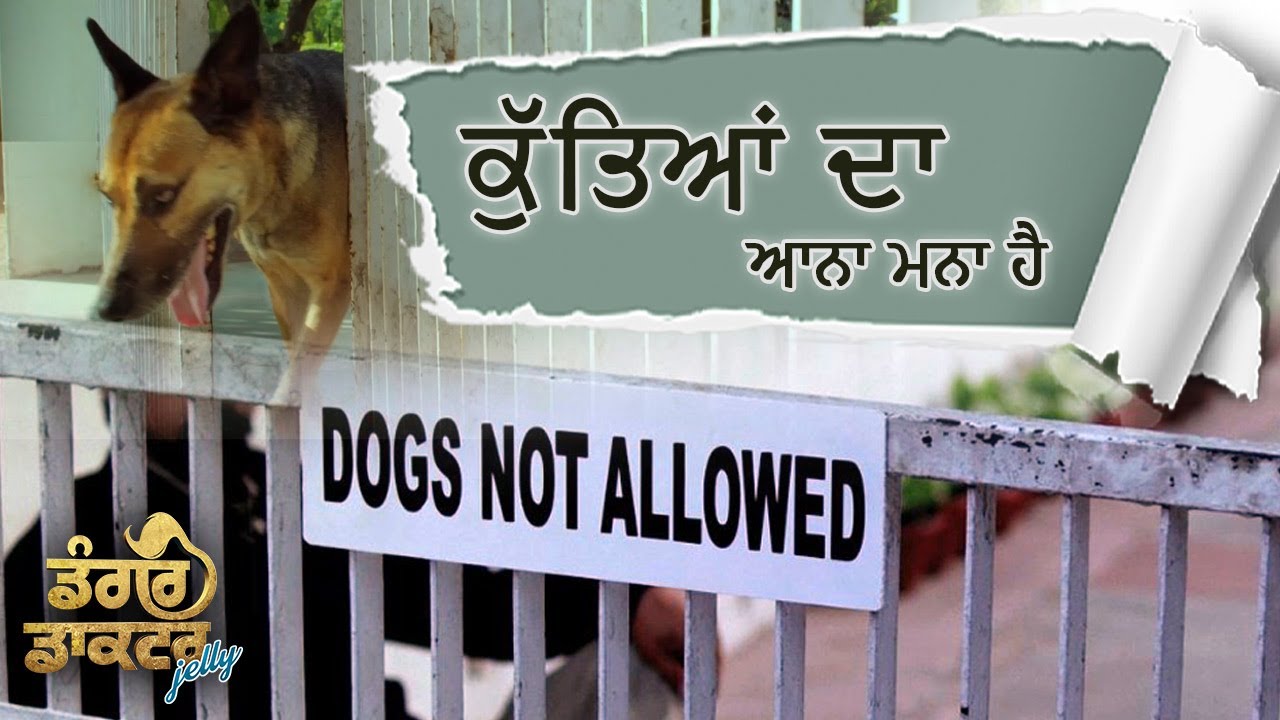 ਕੁੱਤਿਆਂ ਦਾ ਆਨਾ ਮਨਾ ਹੈ | Dangar Doctor Jelly | Movie Scene  | New Punjabi Comedy | Ravinder Grewal